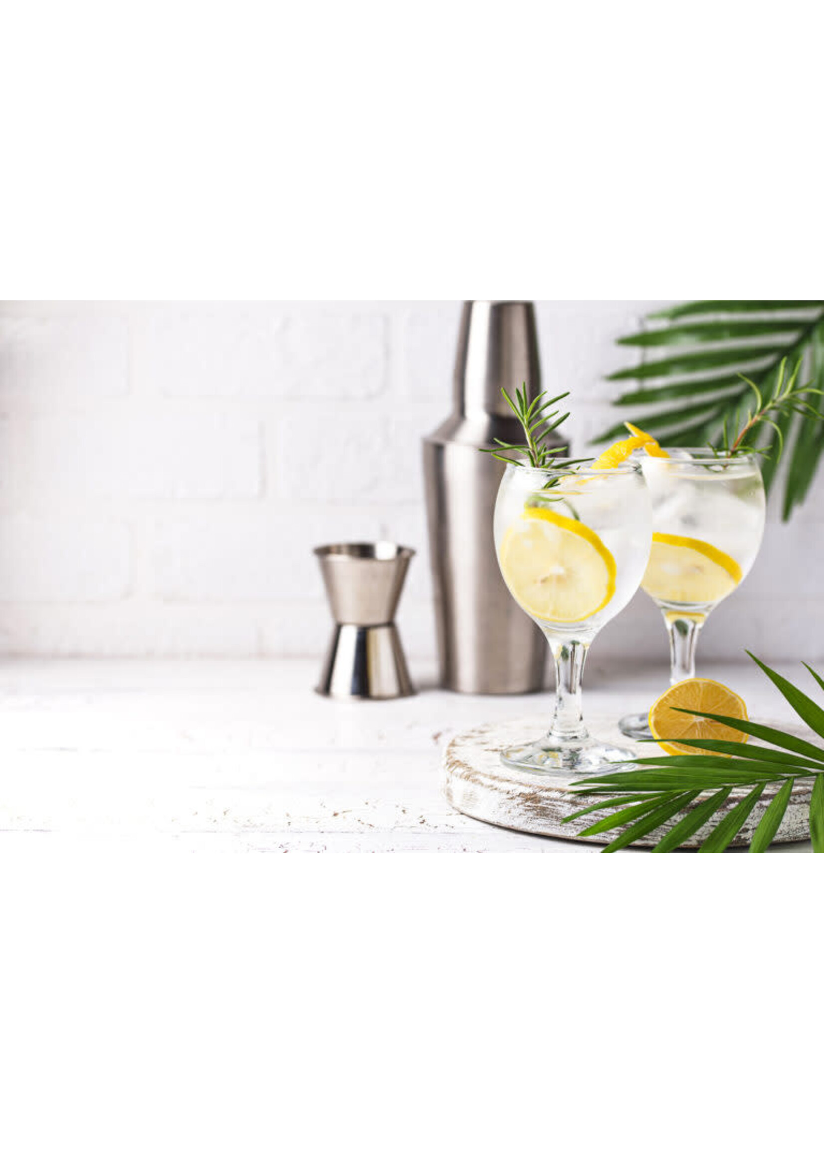 Gourmet du Village GIN SPRITZ LEMON MIX BOX 105g