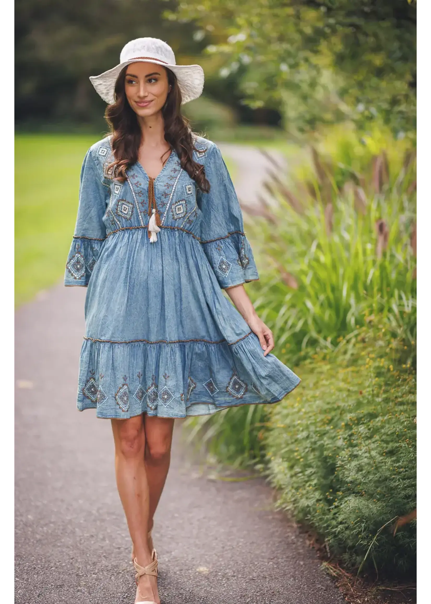 Papillon Embroidered and Beaded Denim Dress