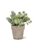 Small Mixed Greenery with White Buds Pot