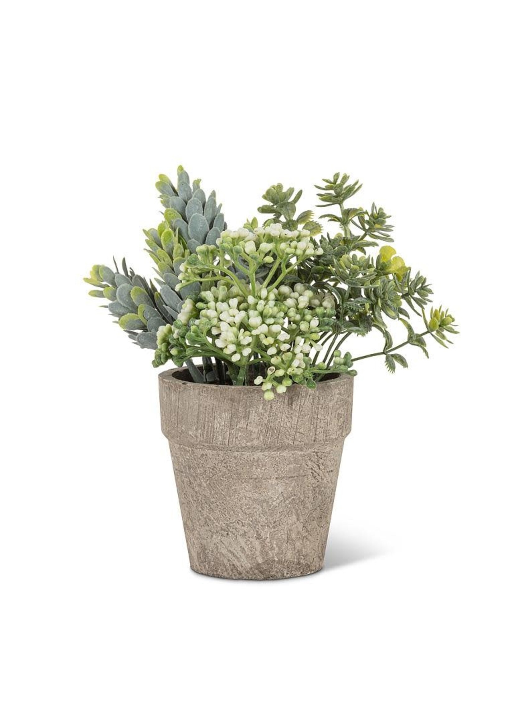 Small Mixed Greenery with White Buds Pot