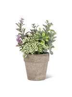 Small Mixed Greenery with Lavender Pant Pot