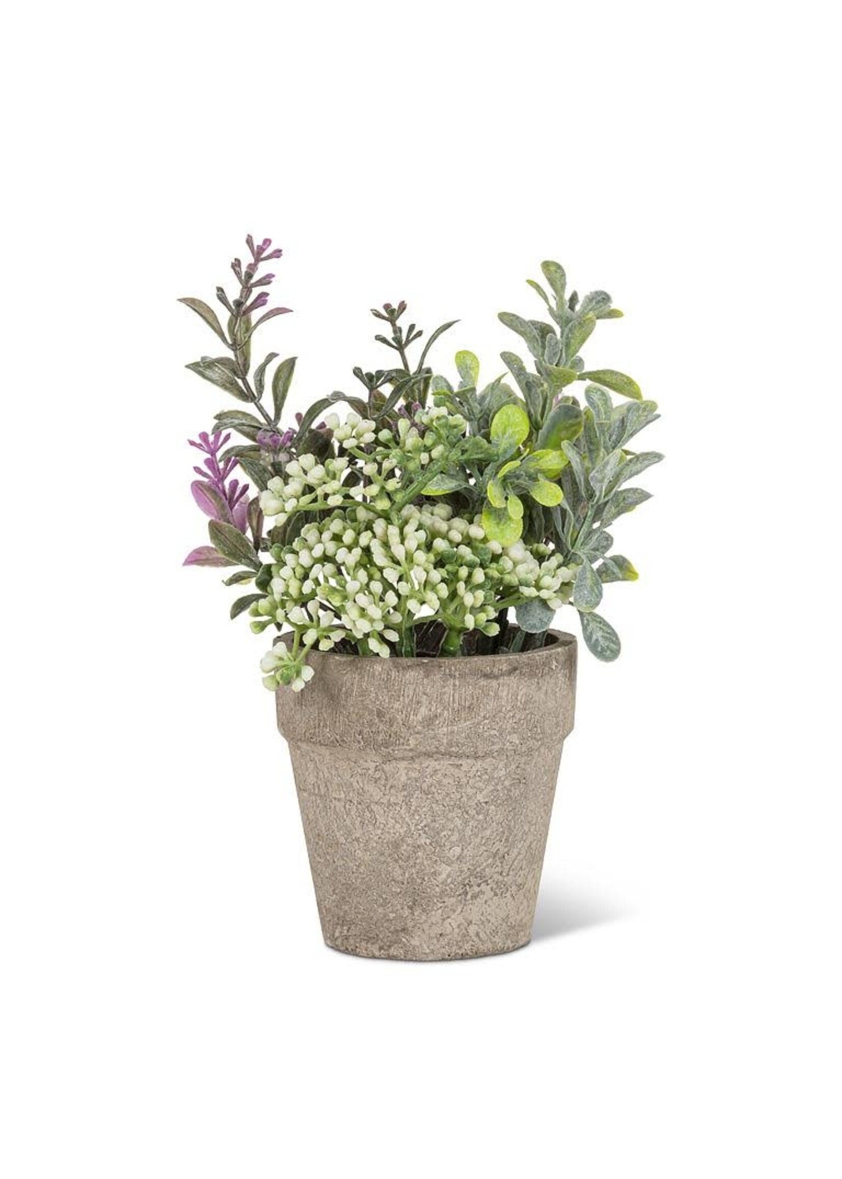 Small Mixed Greenery with Lavender Pant Pot