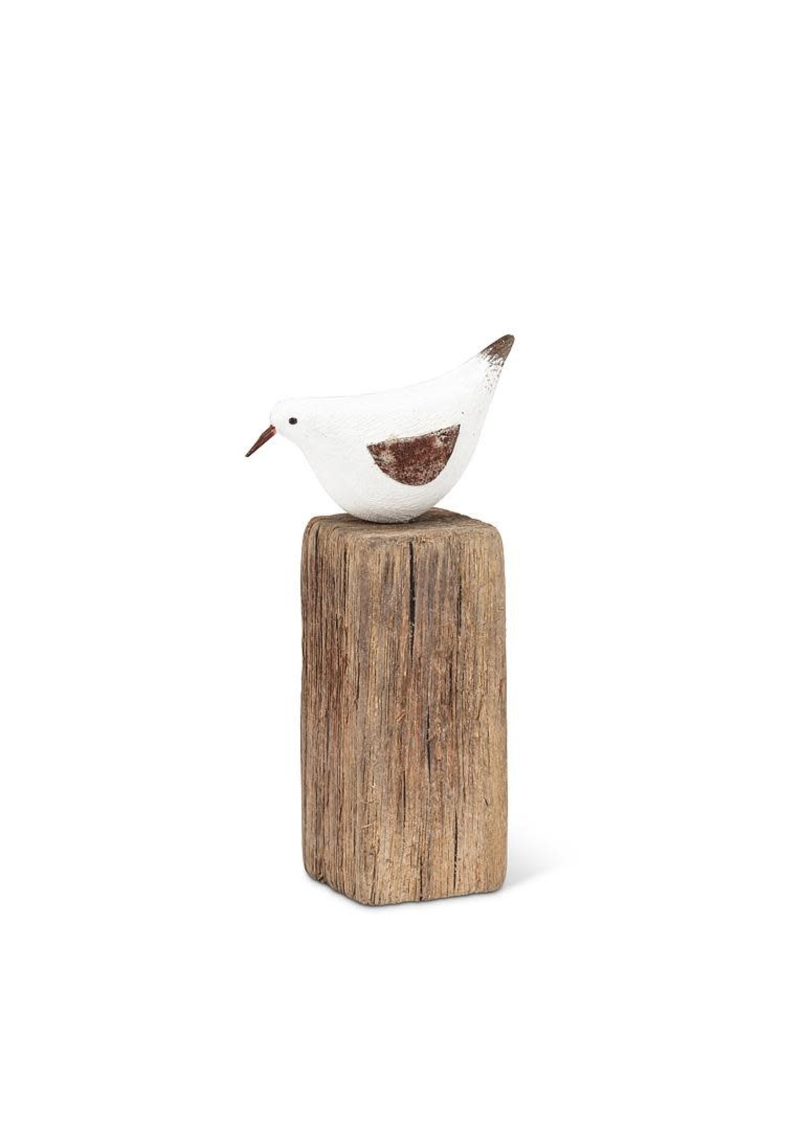 Small Sea Bird on Post
