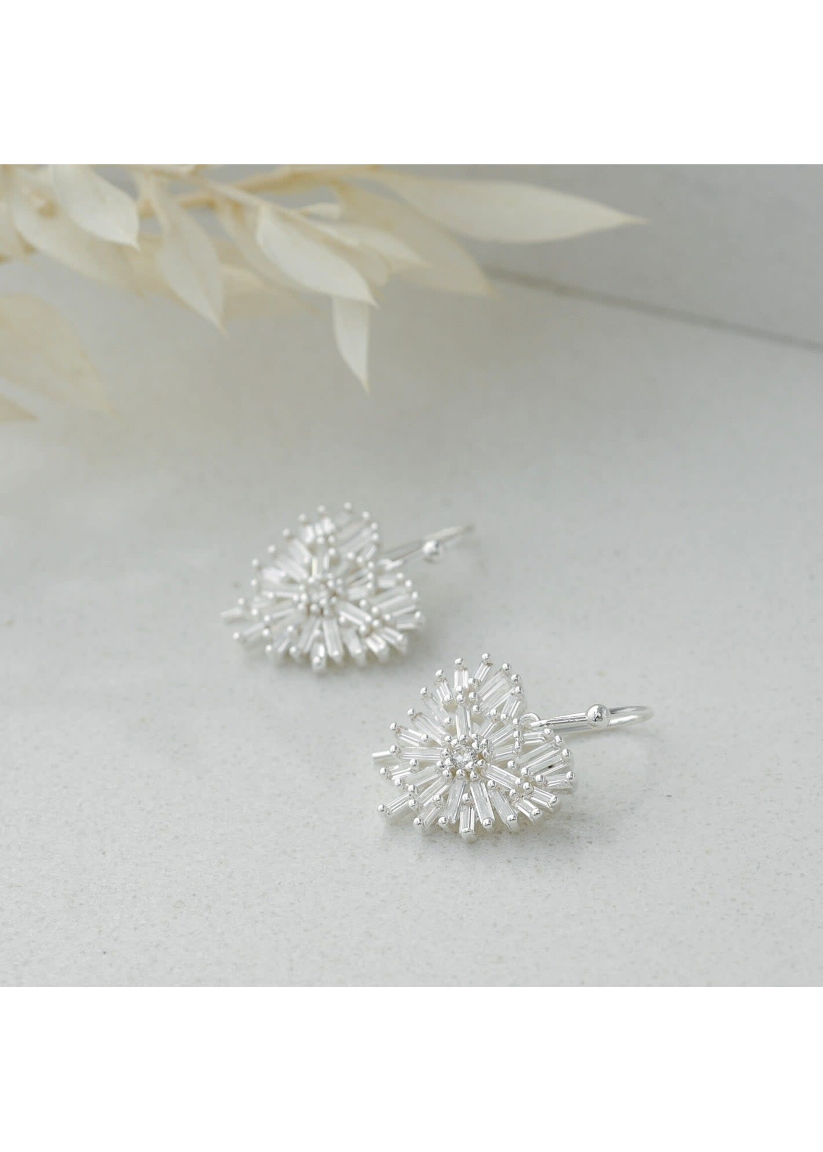 Glee Elaborate Heart Earrings-silver