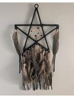 The Grumpy Toad Star Dream Catcher