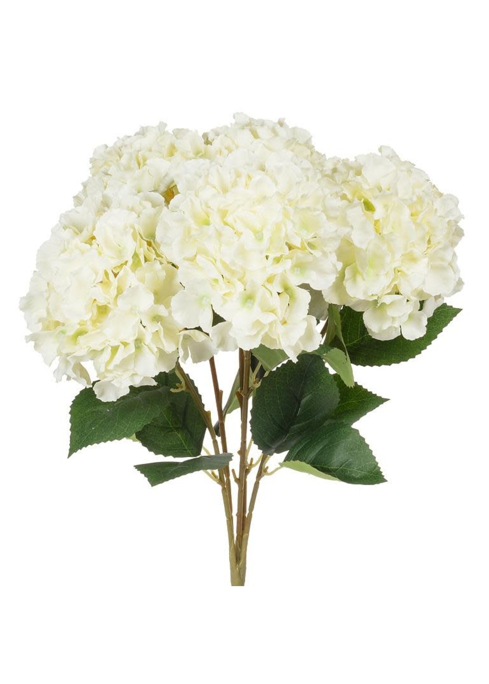 Large 5 Stem Hydrangea Bouquet