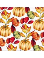 Luncheon Autumn Pumpkin Napkins. Pack of 20