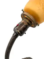Eagle Gooseneck Desk Lamp with Amber Shade