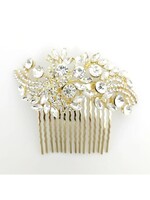 Hair Clip/Comb