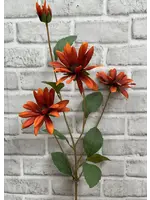 32.5" RUST BLACK EYE SUSAN STEM