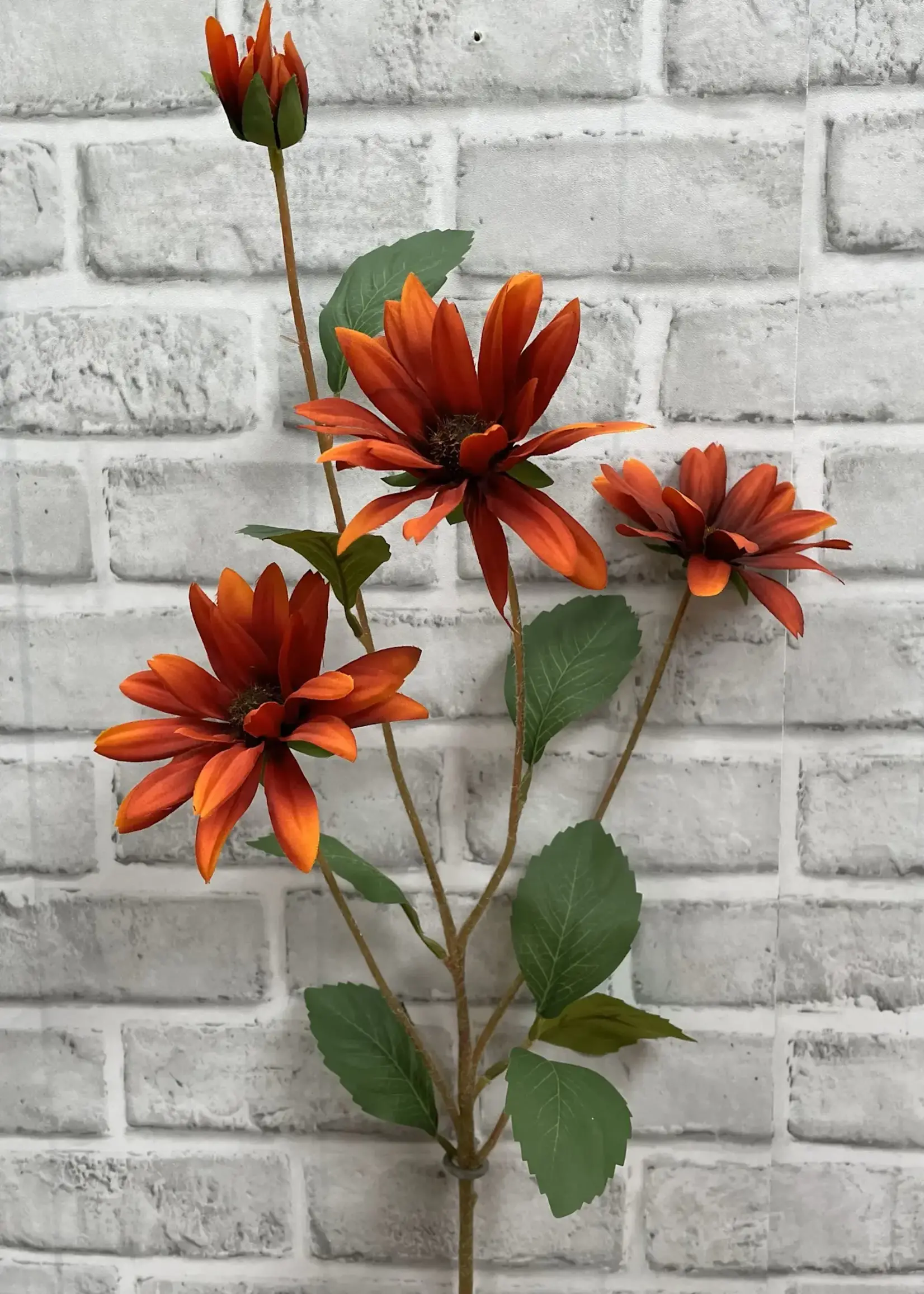 32.5" RUST BLACK EYE SUSAN STEM