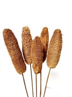 LUFFA LARGE