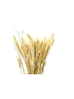 WHEAT - Natural