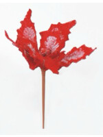 8” Bush - Poinsettia