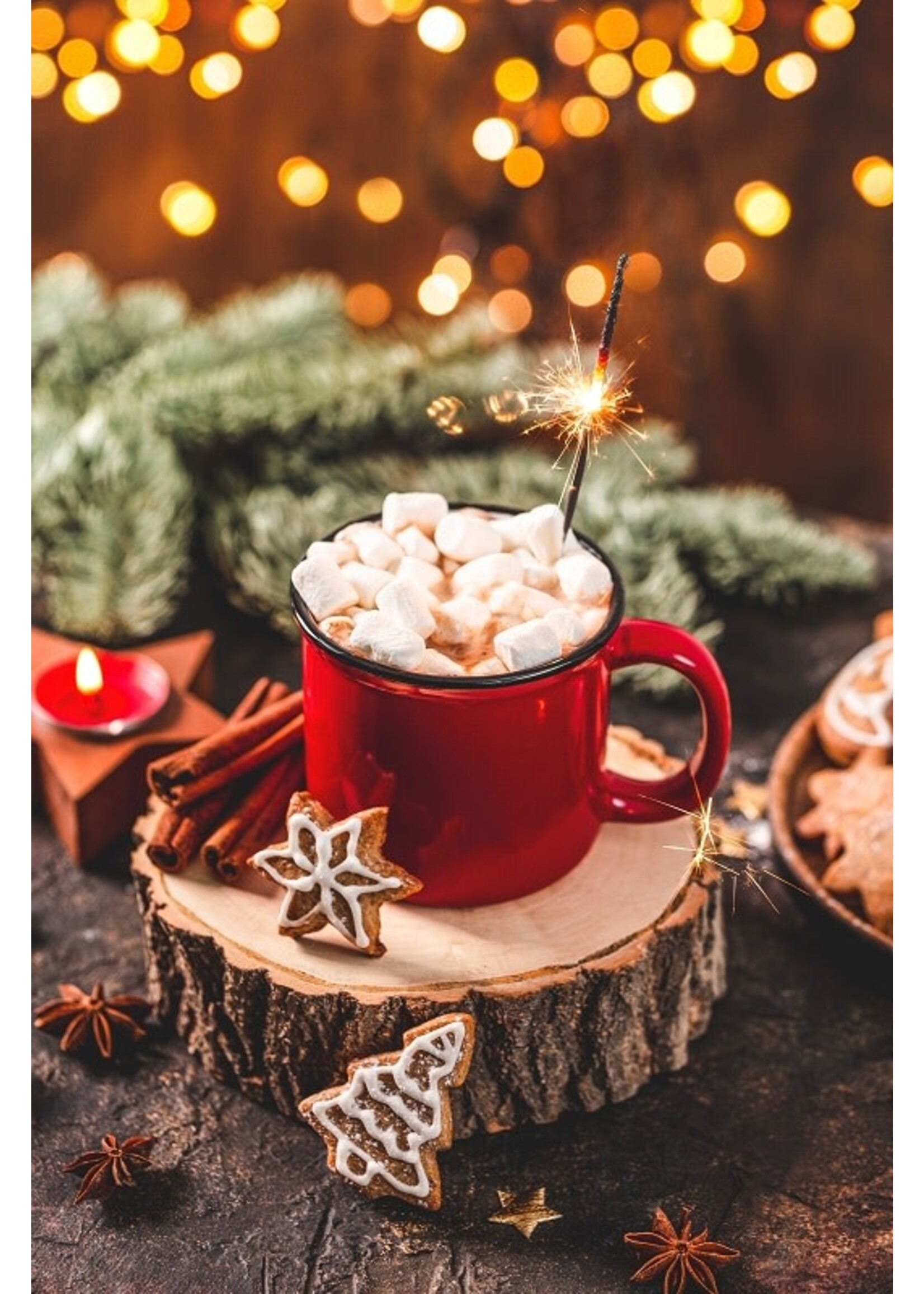 12 Days of Christmas Advent Calendar