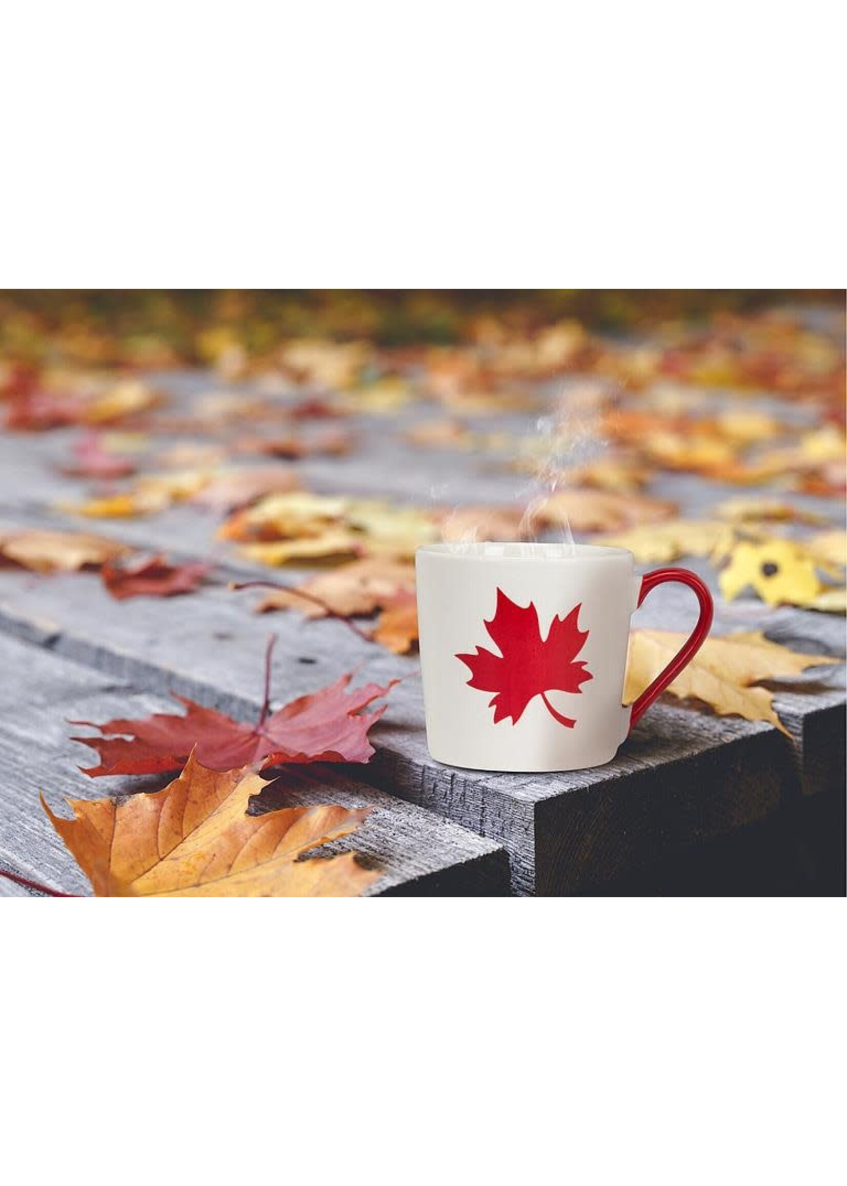 Maple Leaf Mug