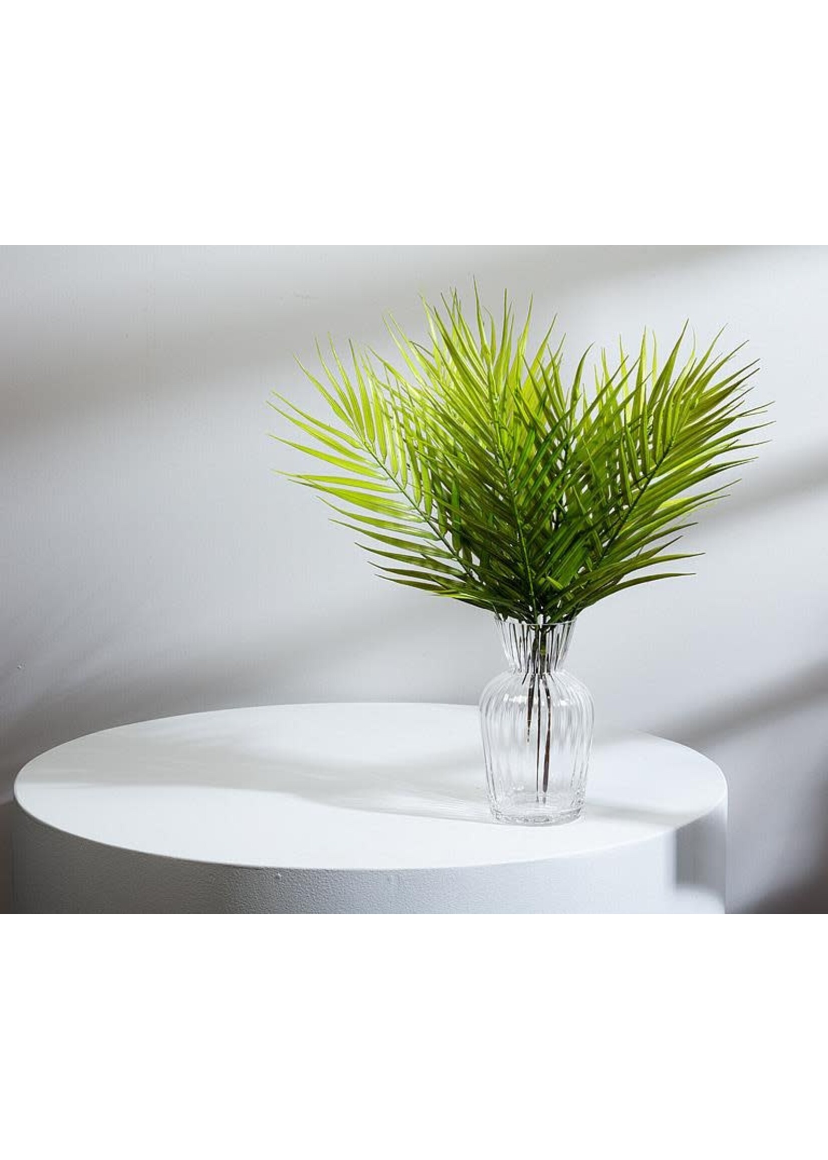 Palm Leaf Spray