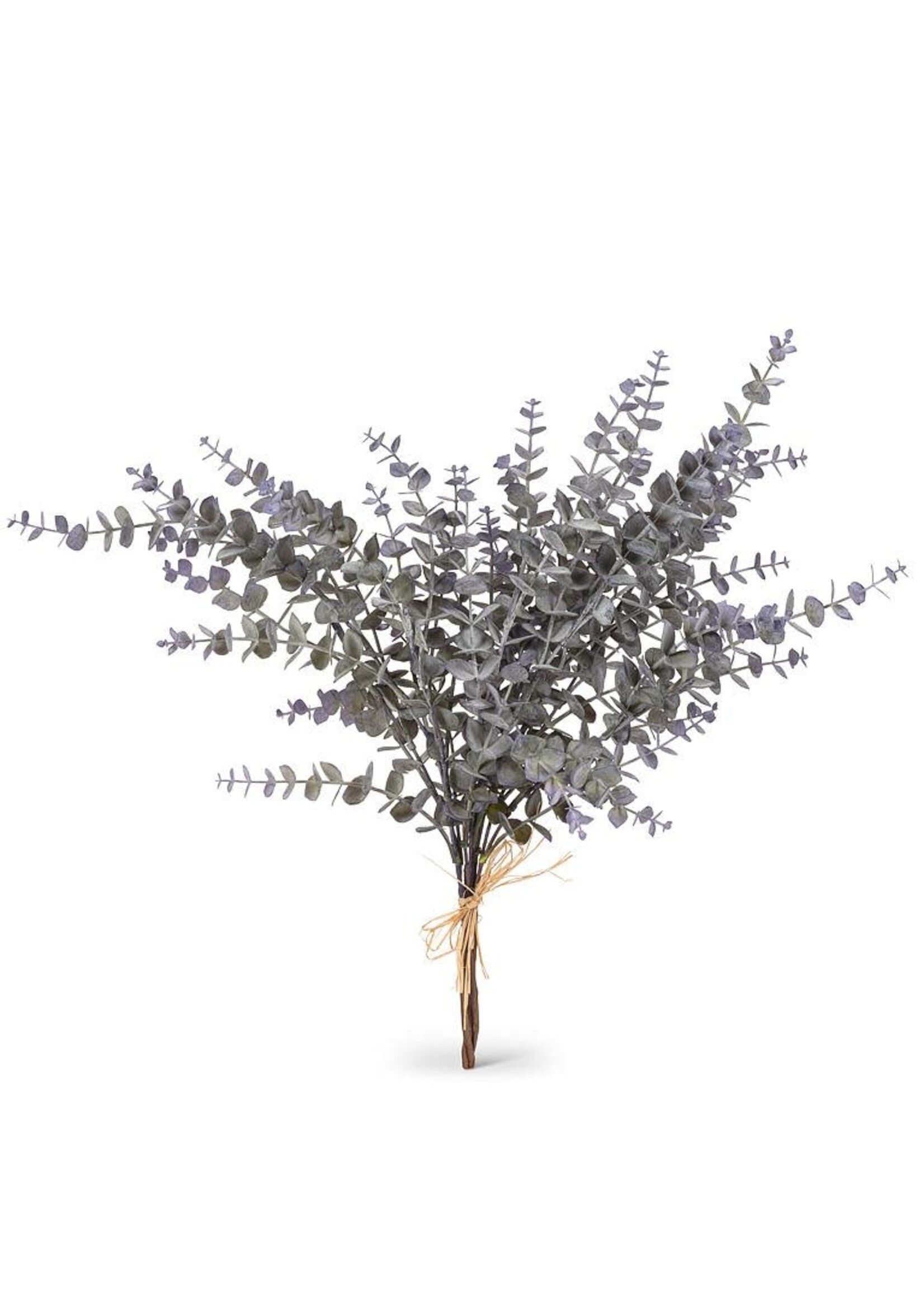 Eucalyptus Sprig Bunch