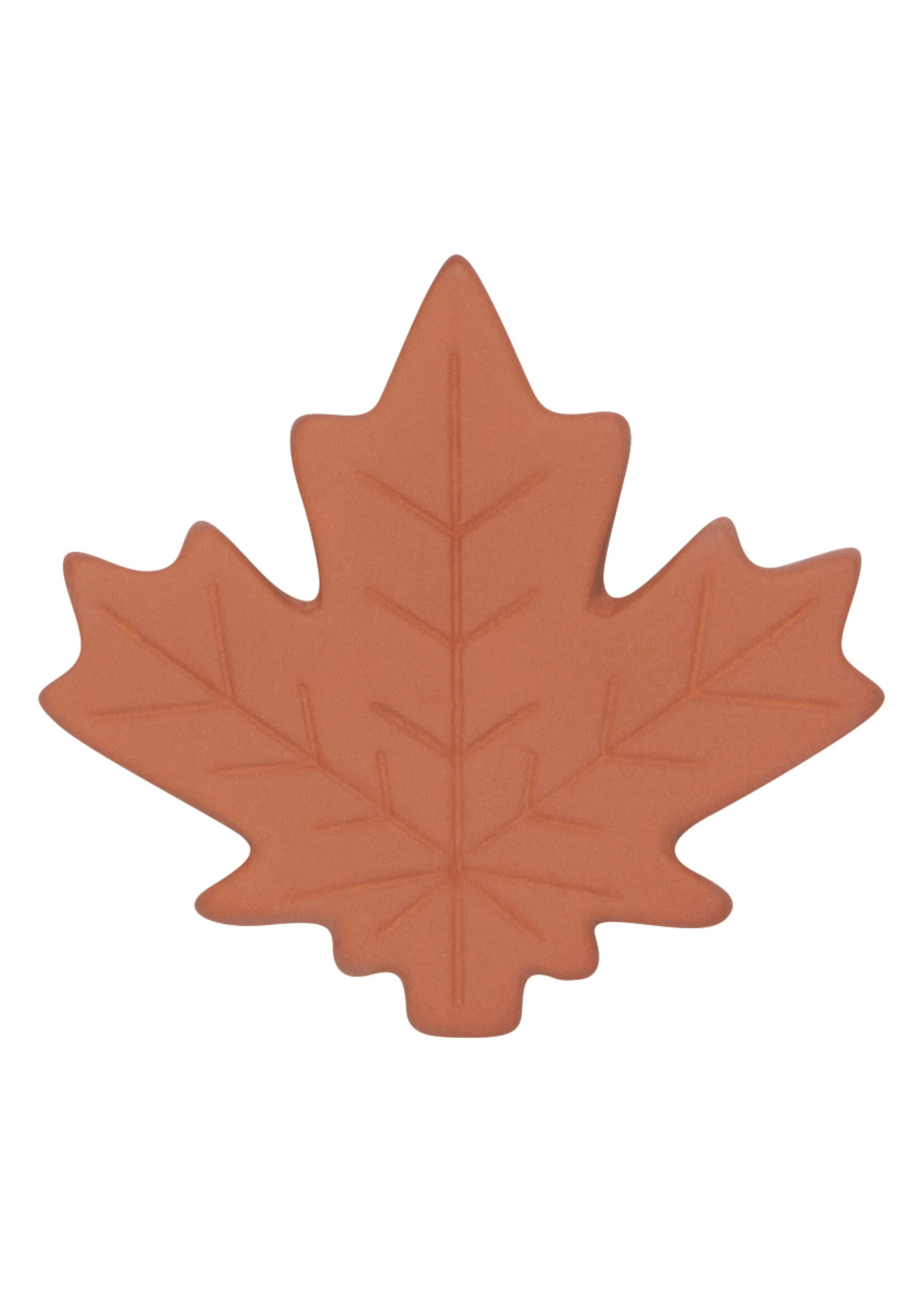 Maple Leaf Terracotta Sugar Saver