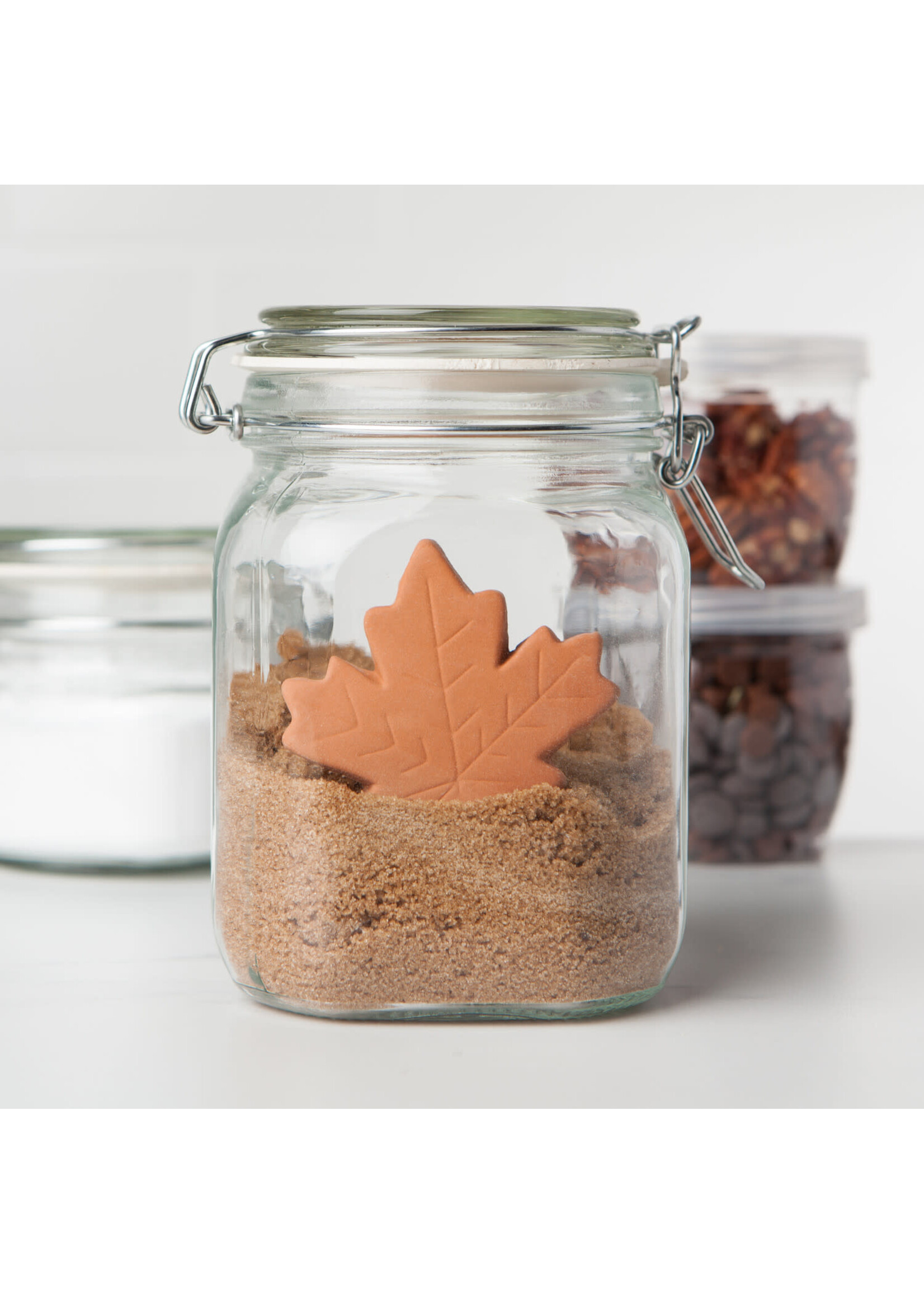 Maple Leaf Terracotta Sugar Saver