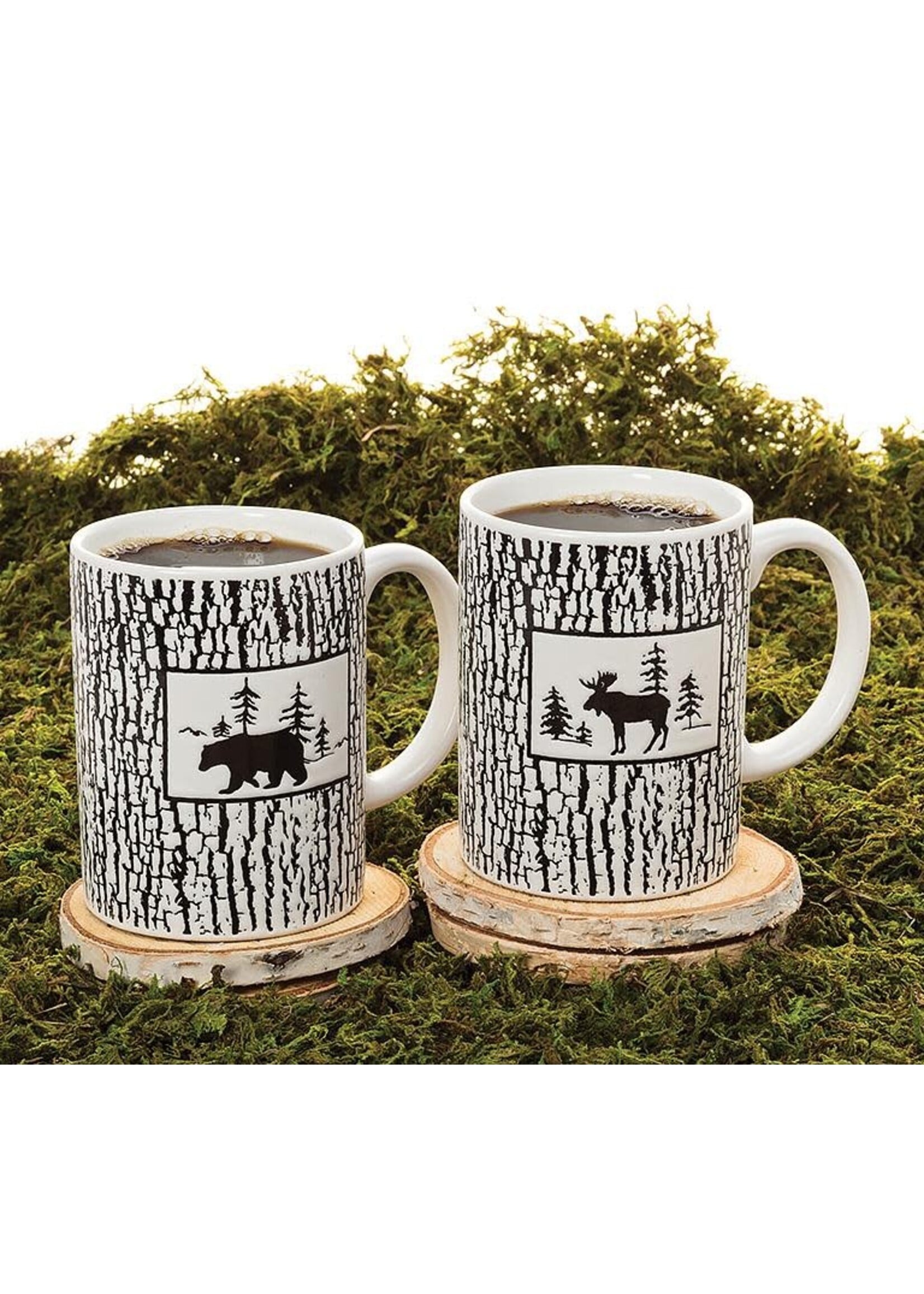 Natural Birch Coasters/Discs. Set of 6
