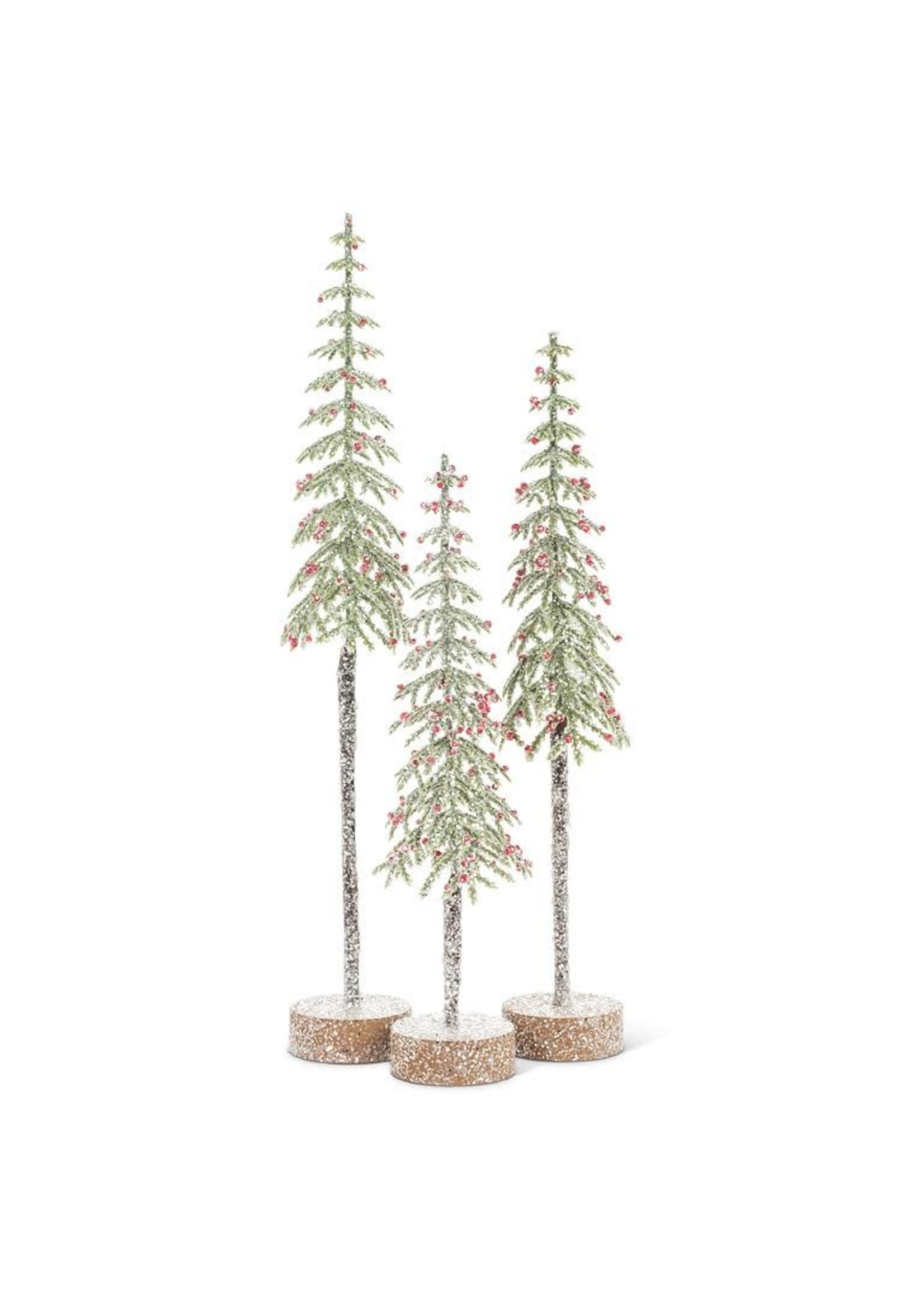 Medium Tall Snowy Tree