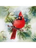 Luncheon Winter Cardinal Napkins. Pack of 20.