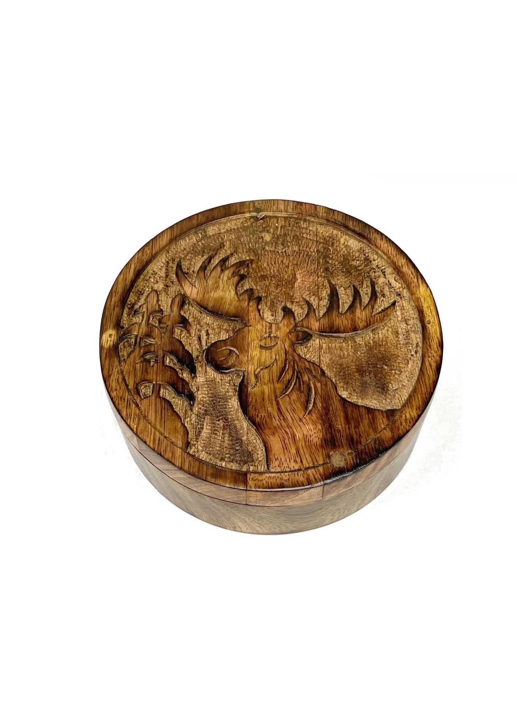 Mango Wood Swivel Box - Moose