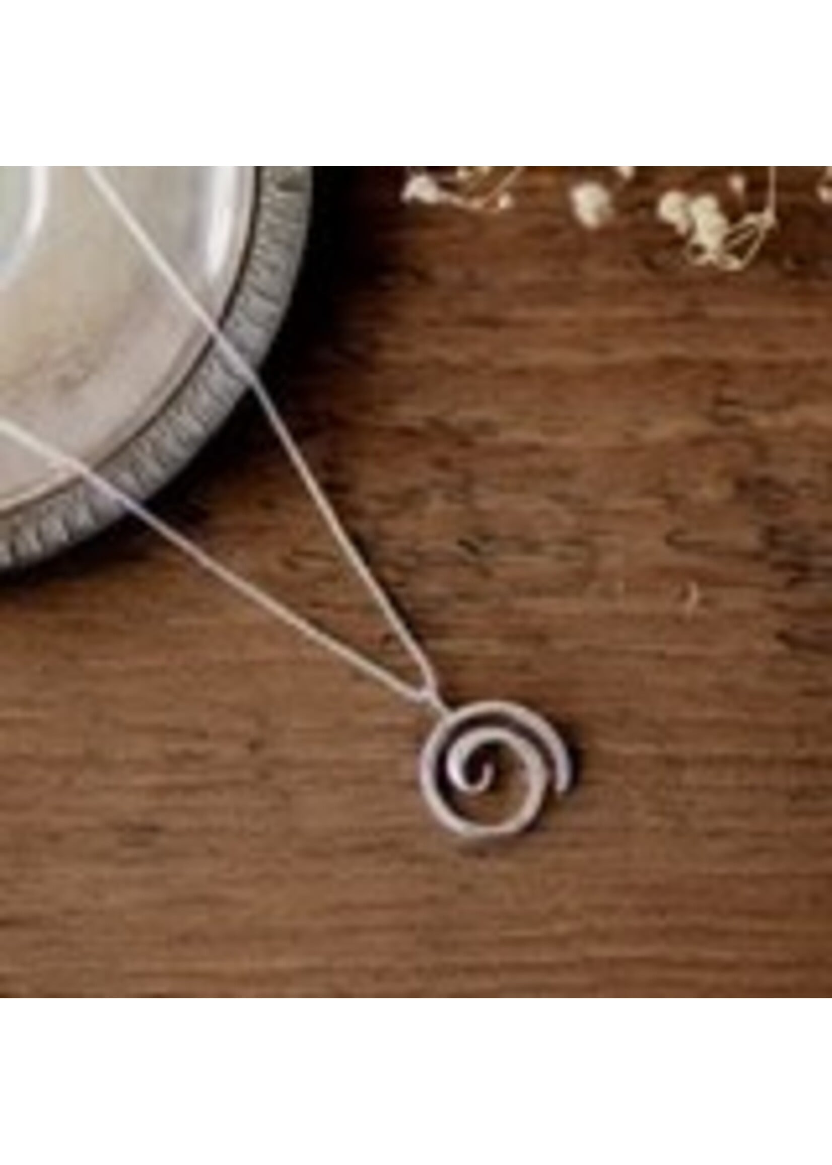 Wild Abandon Torino Necklace - Silver m