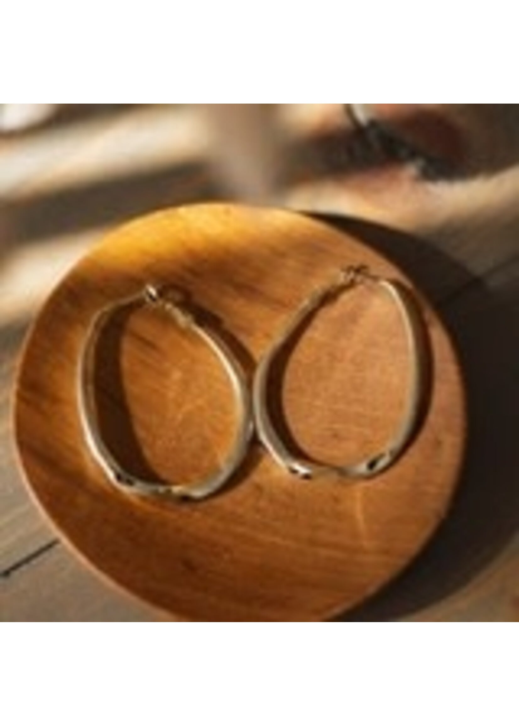 Wild Abandon The Wow Hoops Earrings