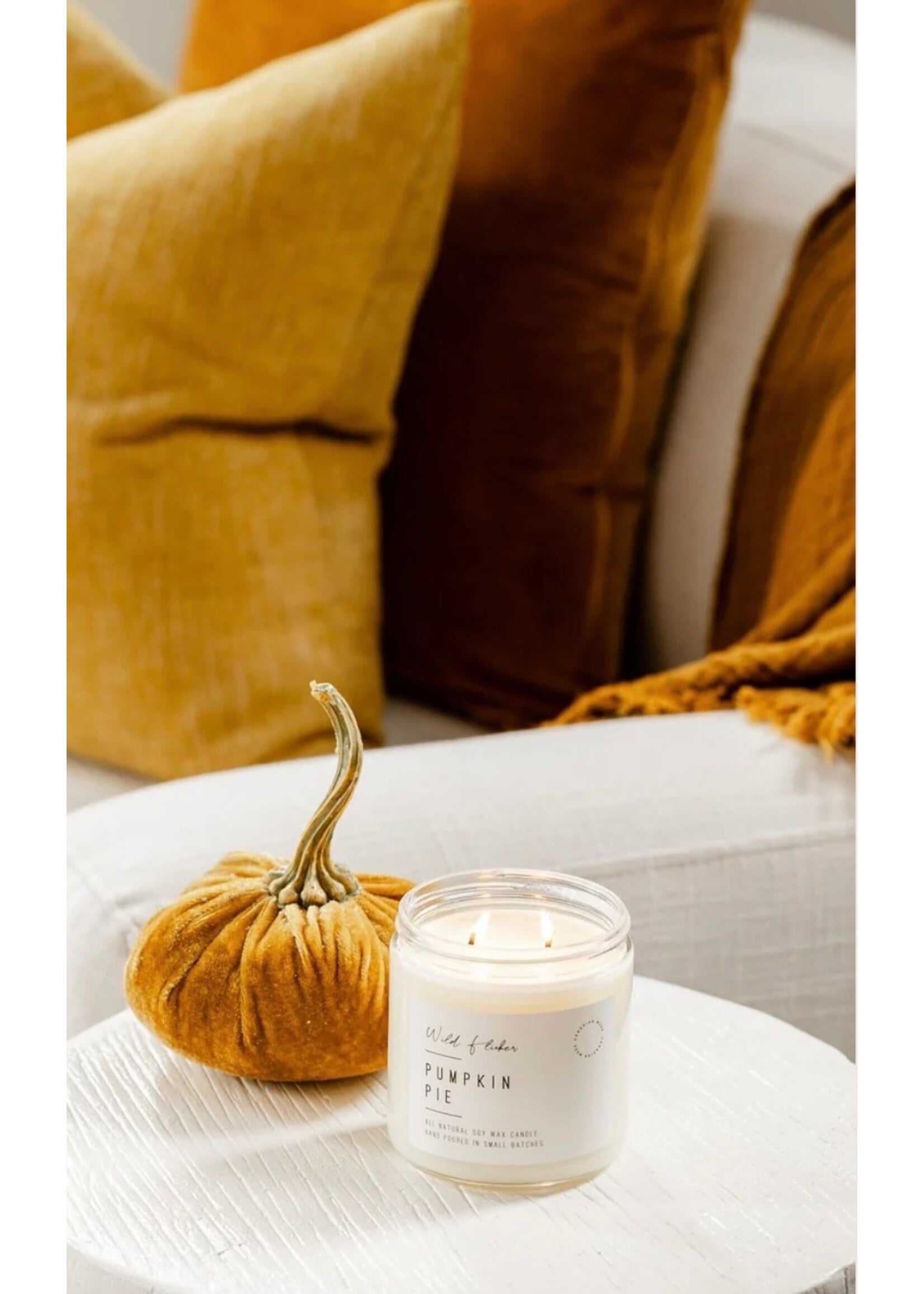 Wild Flicker Pumpkin Pie Soy Wax Candle 8oz