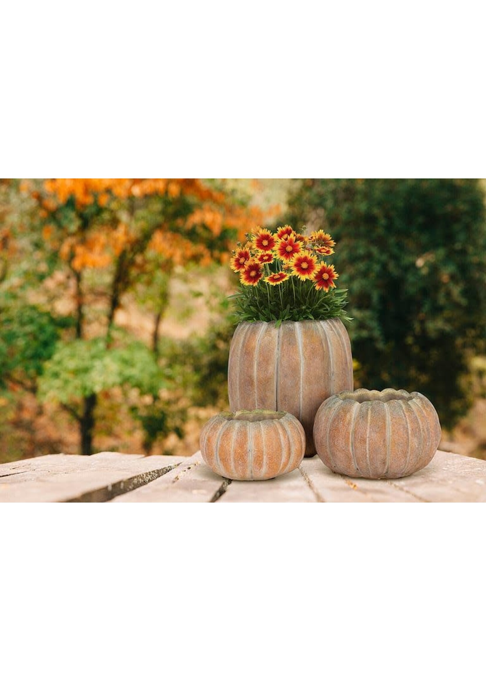 Large Tall Pumpkin Planter