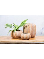 Large Low Pumpkin Planter
