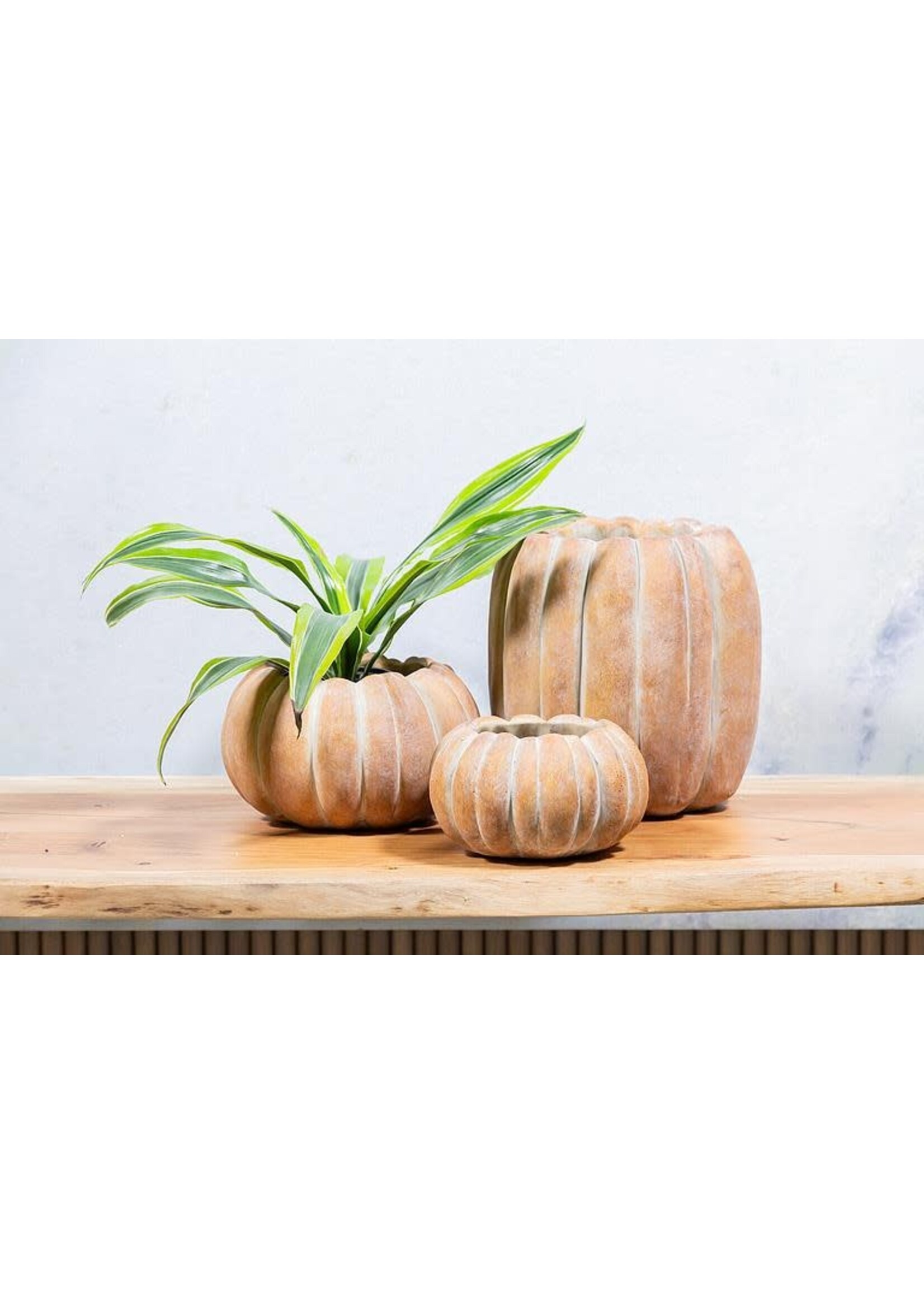 Large Low Pumpkin Planter
