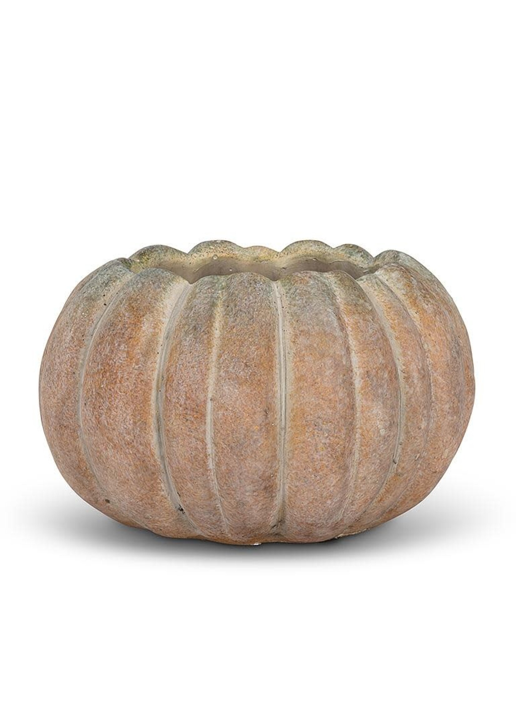 Large Low Pumpkin Planter