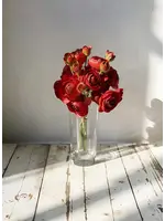 11" RED RANUNCULUS - 6 STEMS PER BUNDLE
