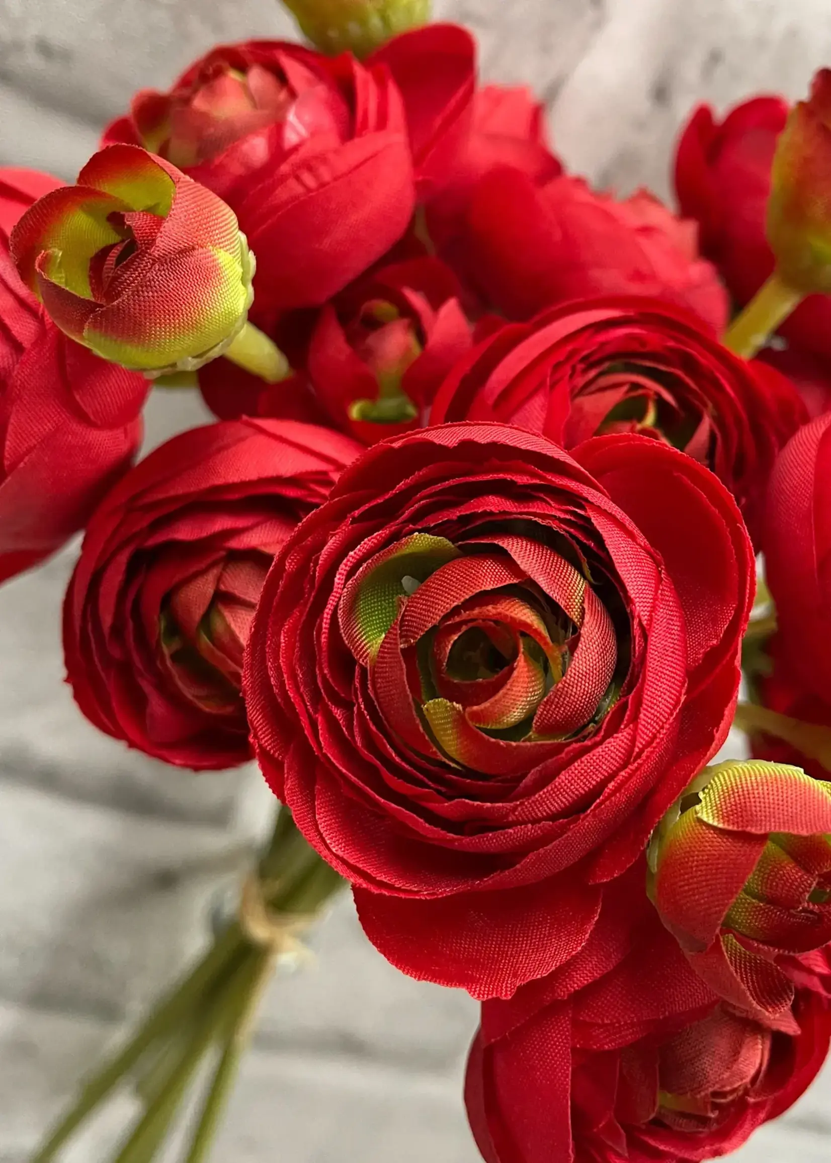 11" RED RANUNCULUS - 6 STEMS PER BUNDLE