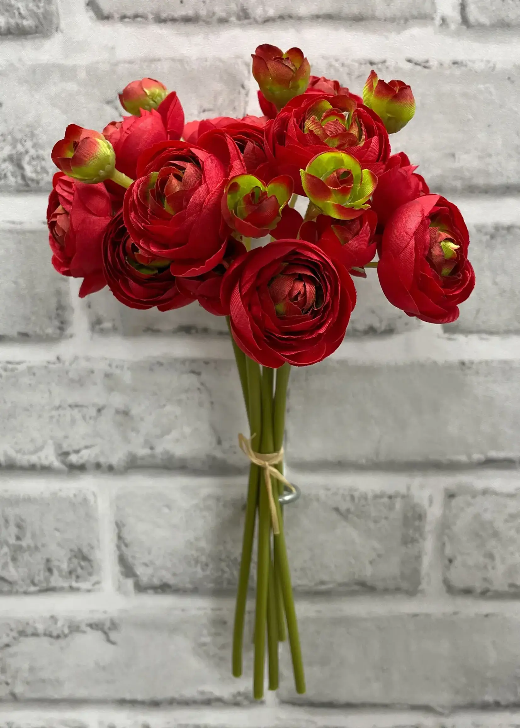 11" RED RANUNCULUS - 6 STEMS PER BUNDLE