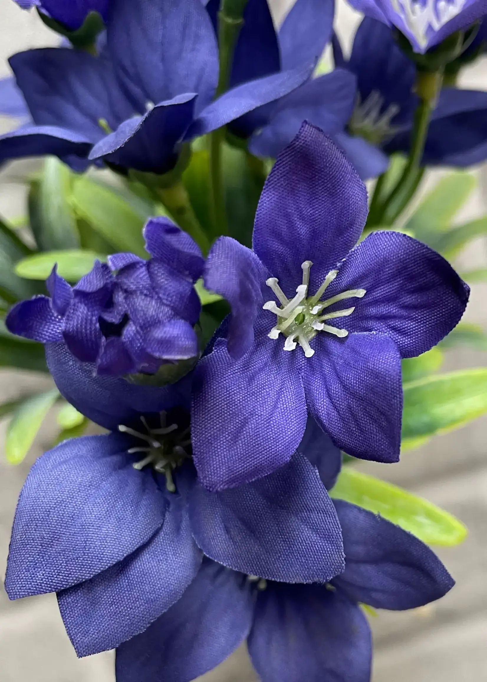 11.5" PURPLE BALLOON FLOWER BUNDLE X 5