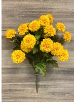 16"YELLOW ZINNIA BUSH X 9
