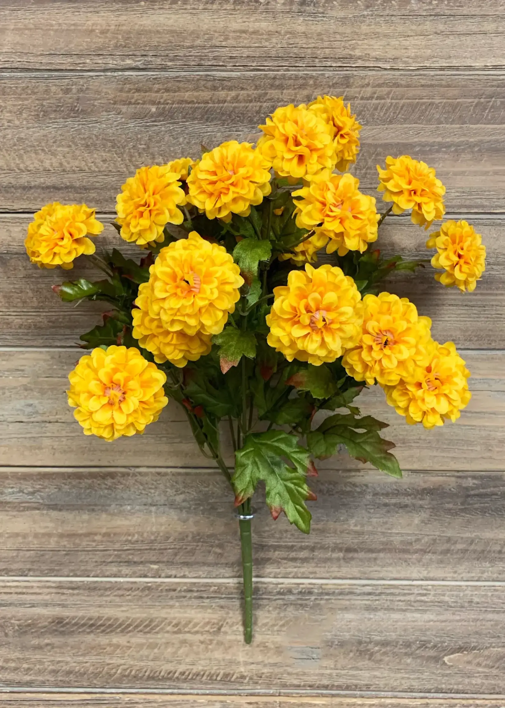 16"YELLOW ZINNIA BUSH X 9