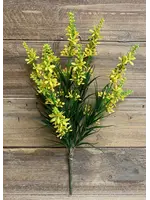 13" YELLOW SWEET VERONICA BUSH WITH 5 STEMS