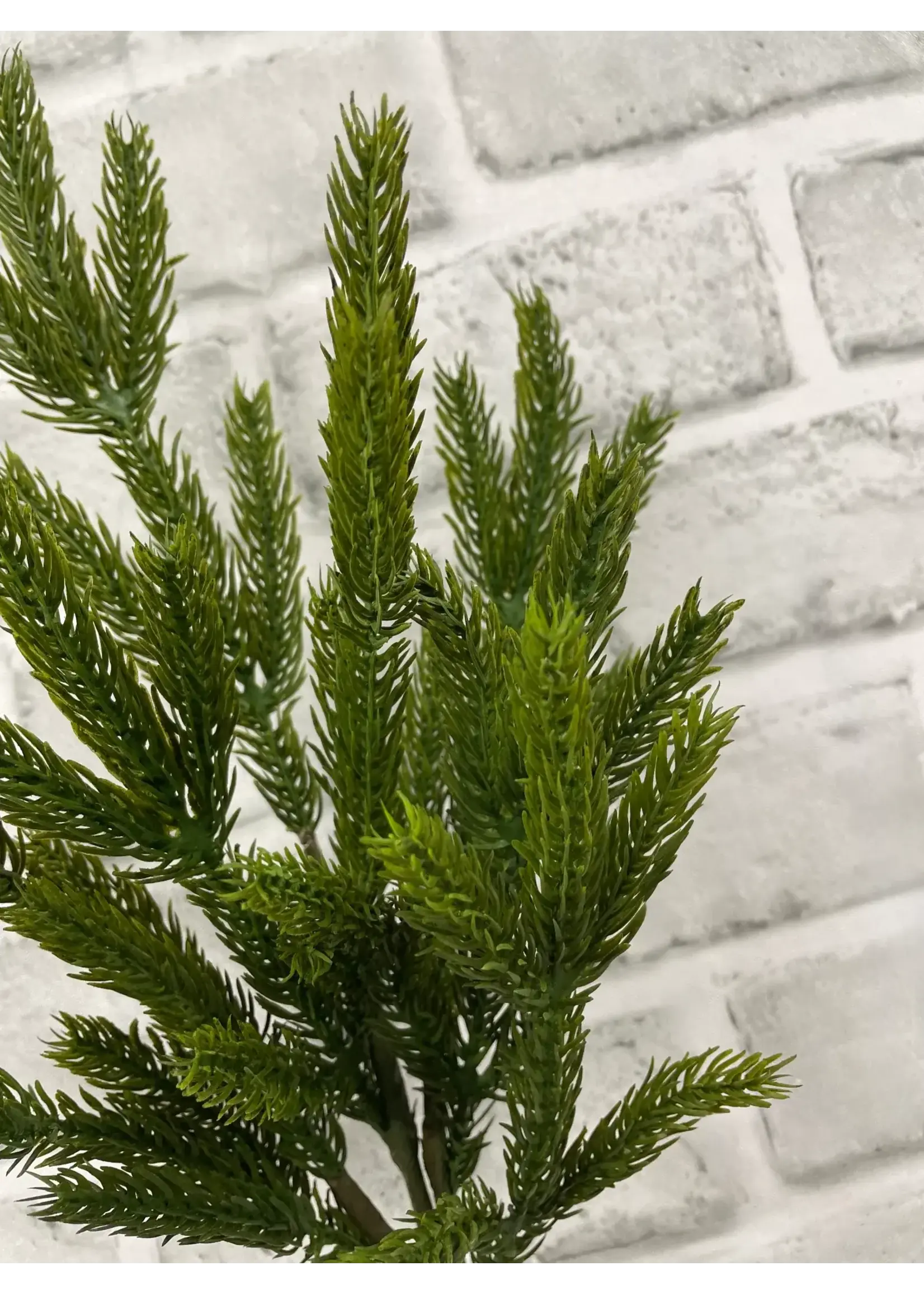 14" FRESH TOUCH SPRUCE PICK