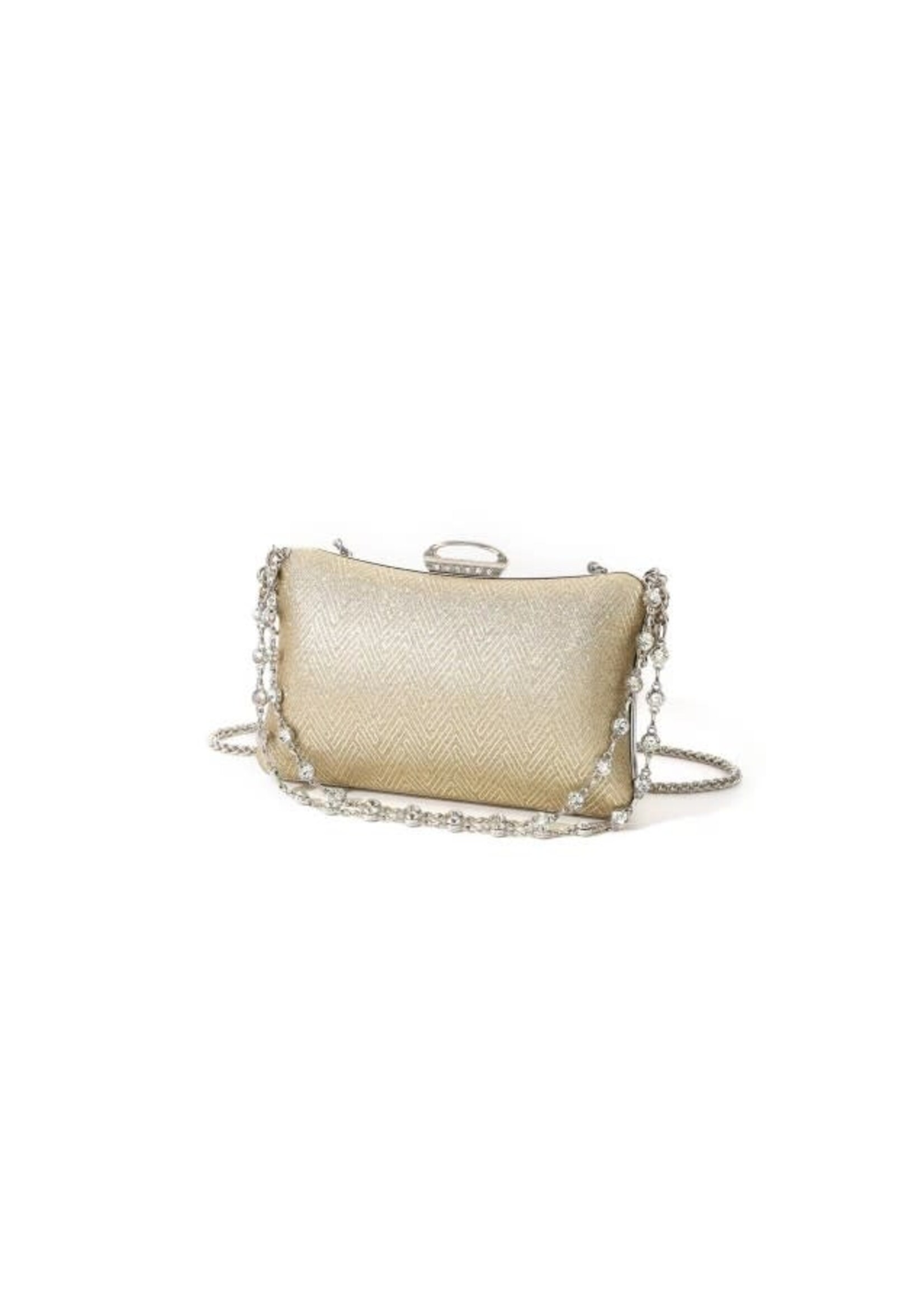 Gold Evening Bag