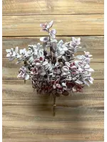 16" SNOWY BURGUNDY AGLAIA BUSH