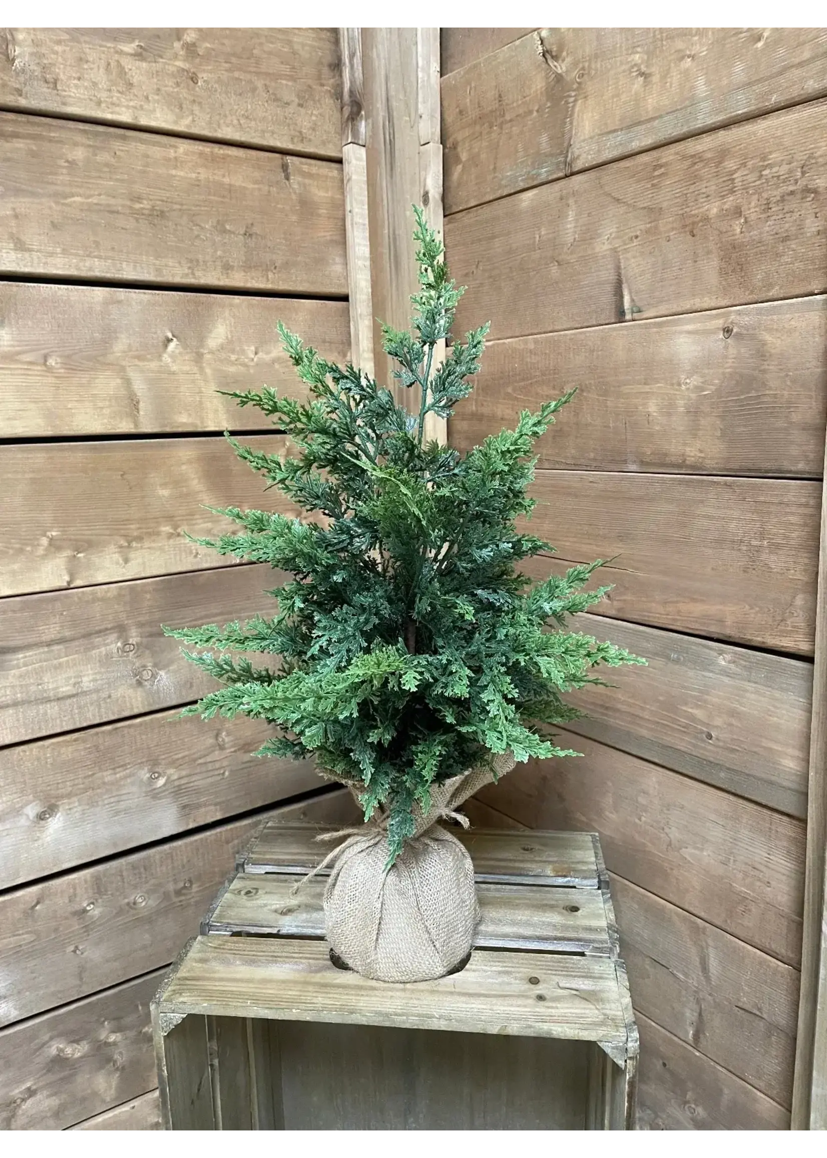 22" FRESH TOUCH EASTERN RED CEDAR TREE WITH BURLAP BASE