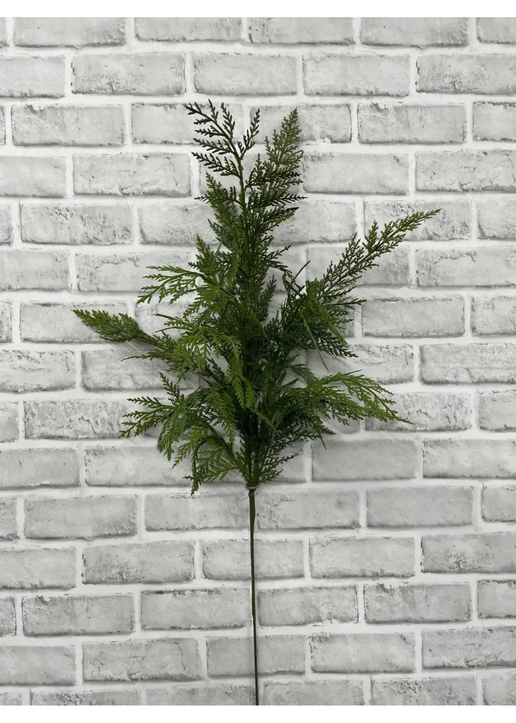 33" FRESH TOUCH CYPRESS SPRAY