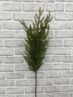 34" MONTEREY CYPRESS SPRAY