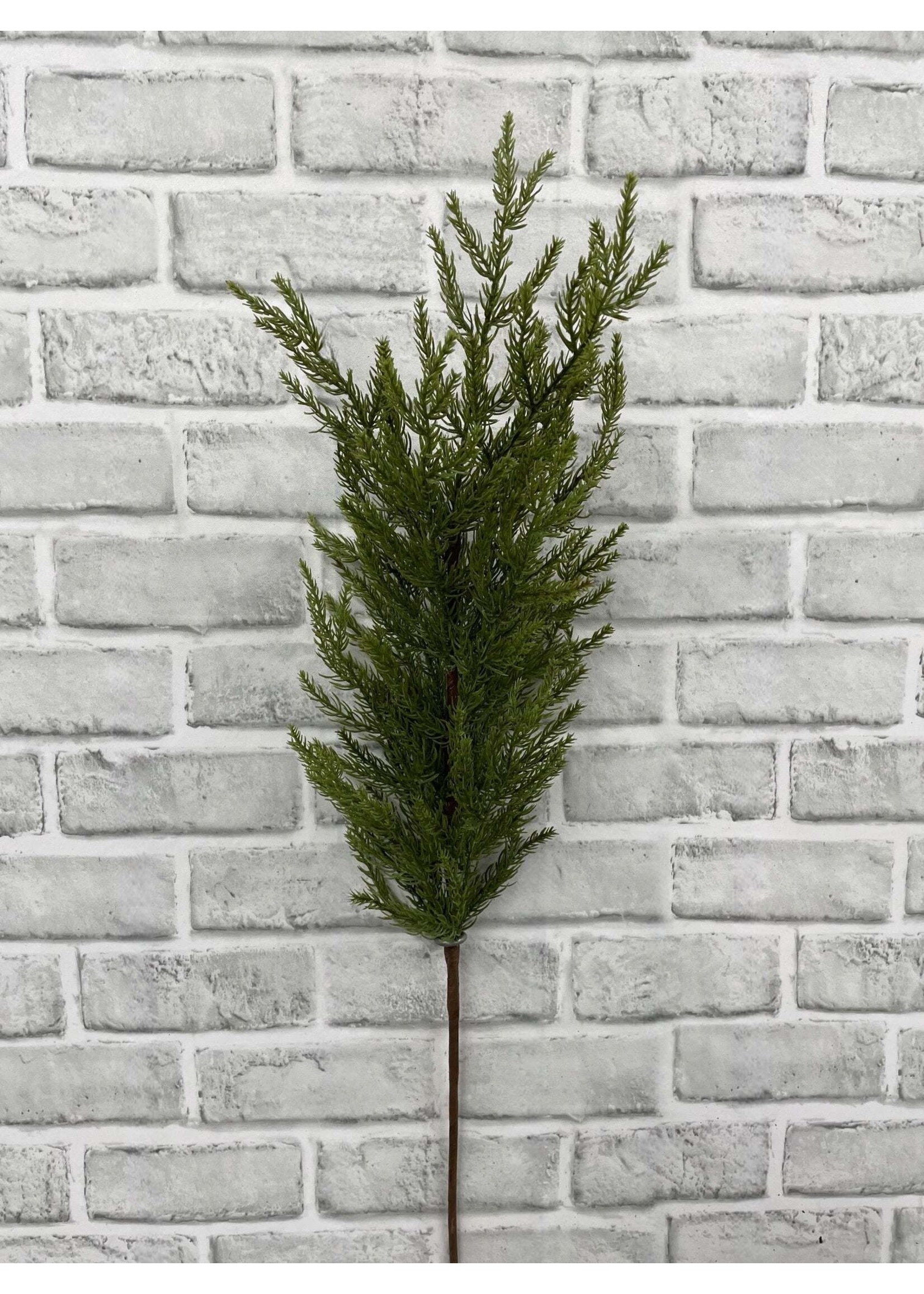 34" MONTEREY CYPRESS SPRAY