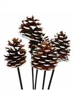 PINE CONES ON STEM - 5 Stems